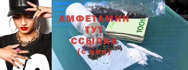 стаф Балахна
