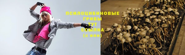 стаф Балахна