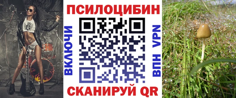 блэк спрут tor  Томмот  Галлюциногенные грибы Psilocybe 